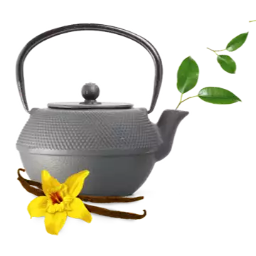 pravi_pasica-1.png.webp
